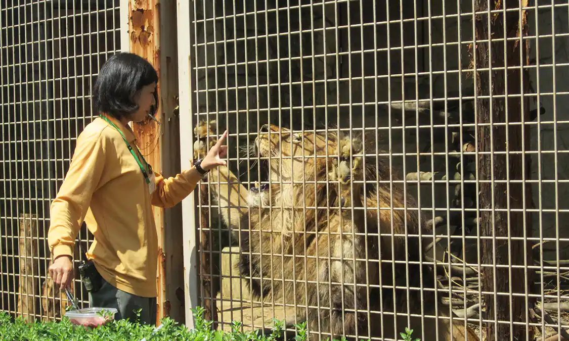 🦁 오무타시 동물원(오무타시 도부쓰엔) 이미지 4